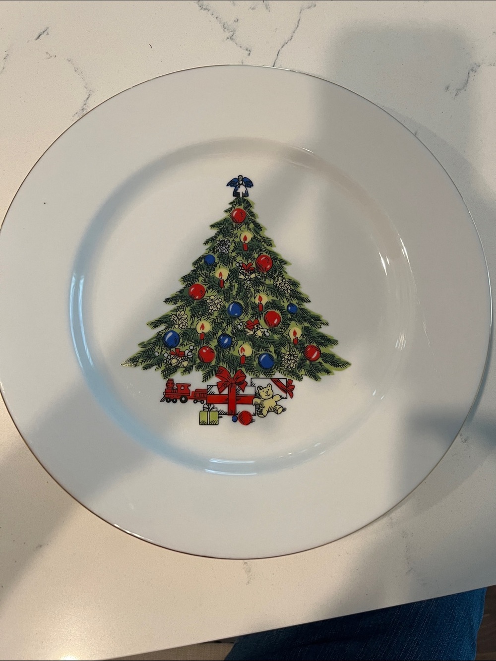 Sea Gull Fine China Dinner Plate - White with Light Blue Rim